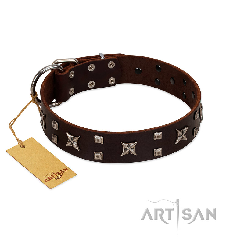 "Bigwig Woof" FDT Artisan Brown Leather German Shepherd Collar with Chrome Plated Stars and Square Studs