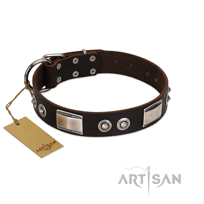 "Baller Status" FDT Artisan Brown Leather German Shepherd Collar Adorned with a Set of Chrome Plated Studs and Plates