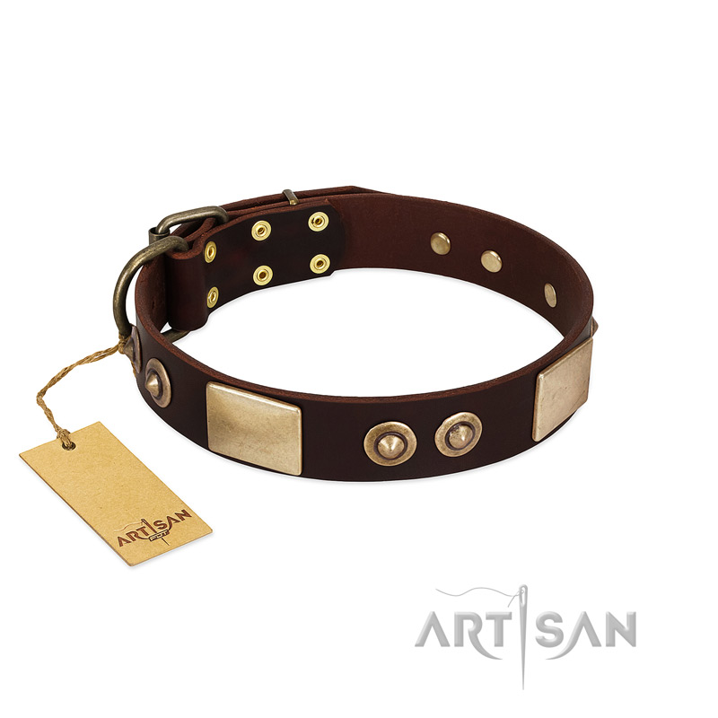 "Sense of Freedom" FDT Artisan Brown Leather German Shepherd Collar with Old Bronze-Plated Studs and Plates
