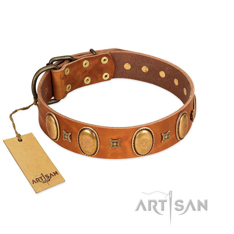 "Glossy Autumn" Designer Handmade FDT Artisan Tan Leather German Shepherd Collar with Ovals and Studs