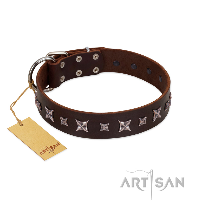 "Stellar Fairy " FDT Artisan Brown Leather German Shepherd Collar with Chrome-plated Star-like Decorations
