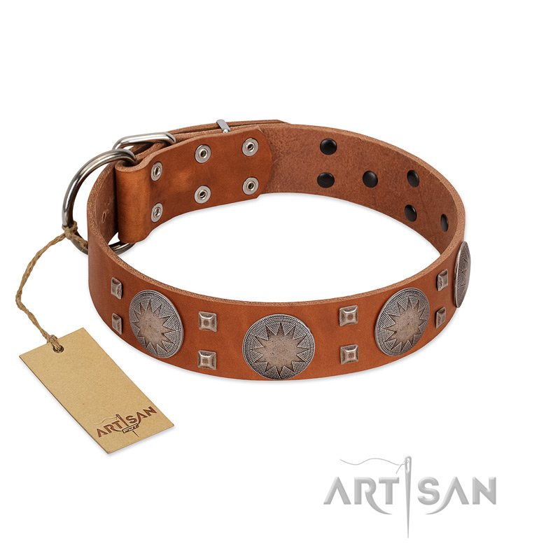 "Sun Rise Noon" FDT Artisan Tan Leather German Shepherd Collar with Unique Design