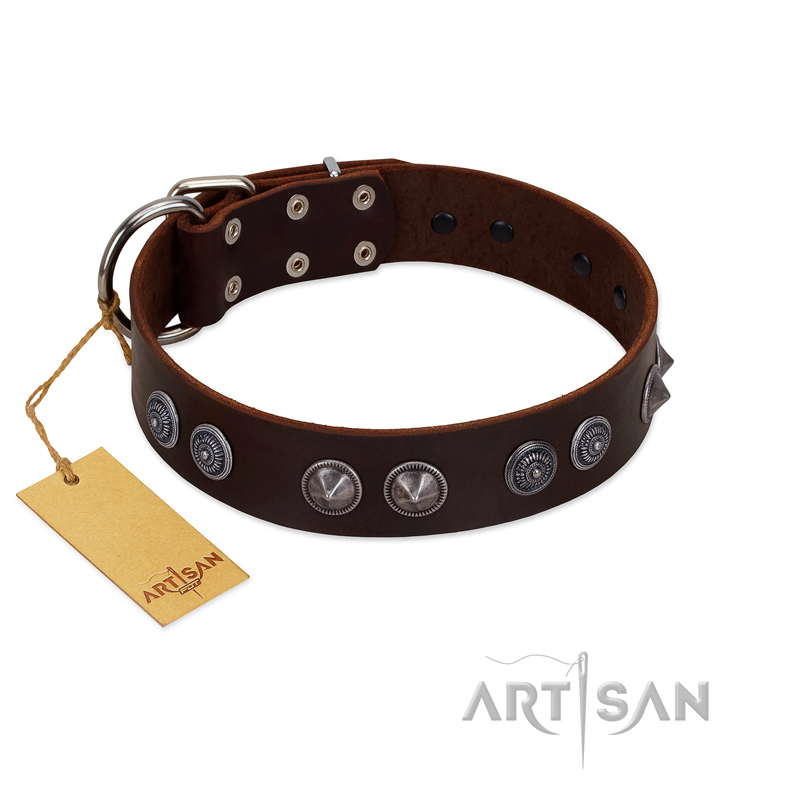 "King Arthur" FDT Artisan Brown Leather German Shepherd Collar with Spiky Plates