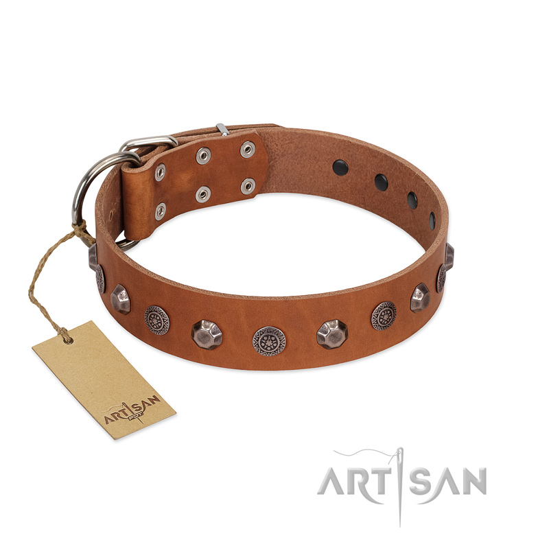"Silver Age" Fashionable FDT Artisan Tan Leather German Shepherd Collar with Silver-Like Studs