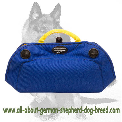 Puppy and Young Dog Bite Builder made French Linen - Bite pillow