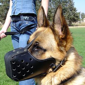 Leather German Shepherd Muzzle For Agitation Training