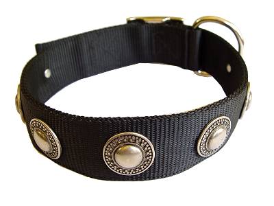 Walking Nylon Dog collar with silver conchos