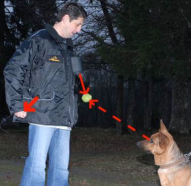 https://www.all-about-german-shepherd-dog-breed.com/images/large/vest-for-dog-trainer-magic-pocket-dog-training-vest-V44_LRG.jpg