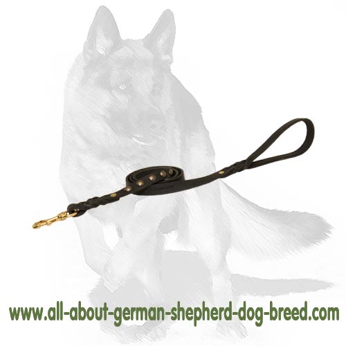 Superior Design Leash with Studs