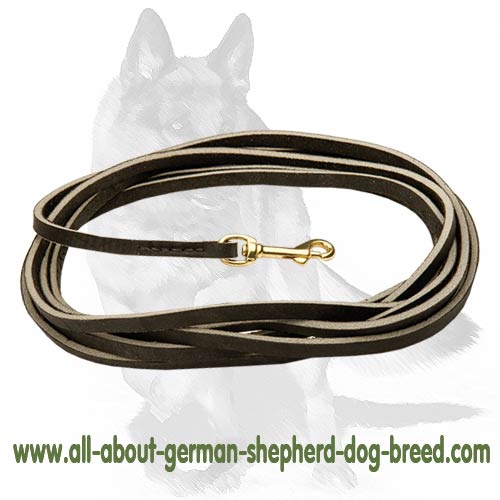 Durable leather Leash with Brass snap-hook