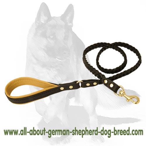 Robust Leash with Convenient Brass snap-hook