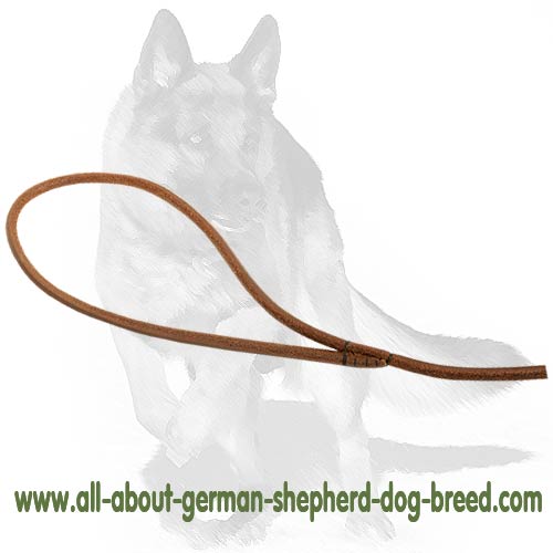 Best quality Leash of Leather