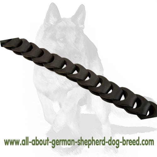 Exclusive Leash with Brass fittings