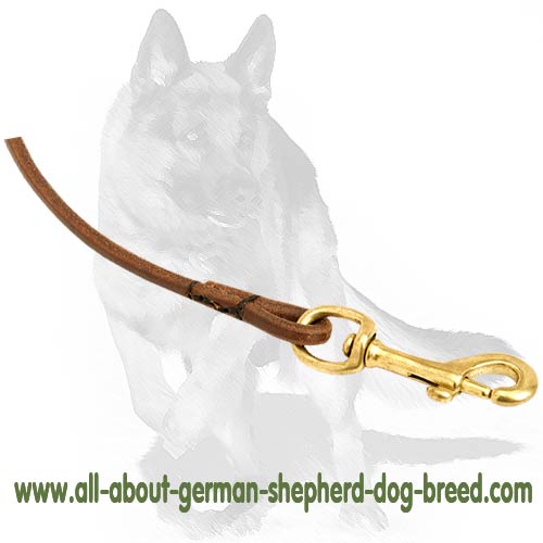 thin leather dog leash