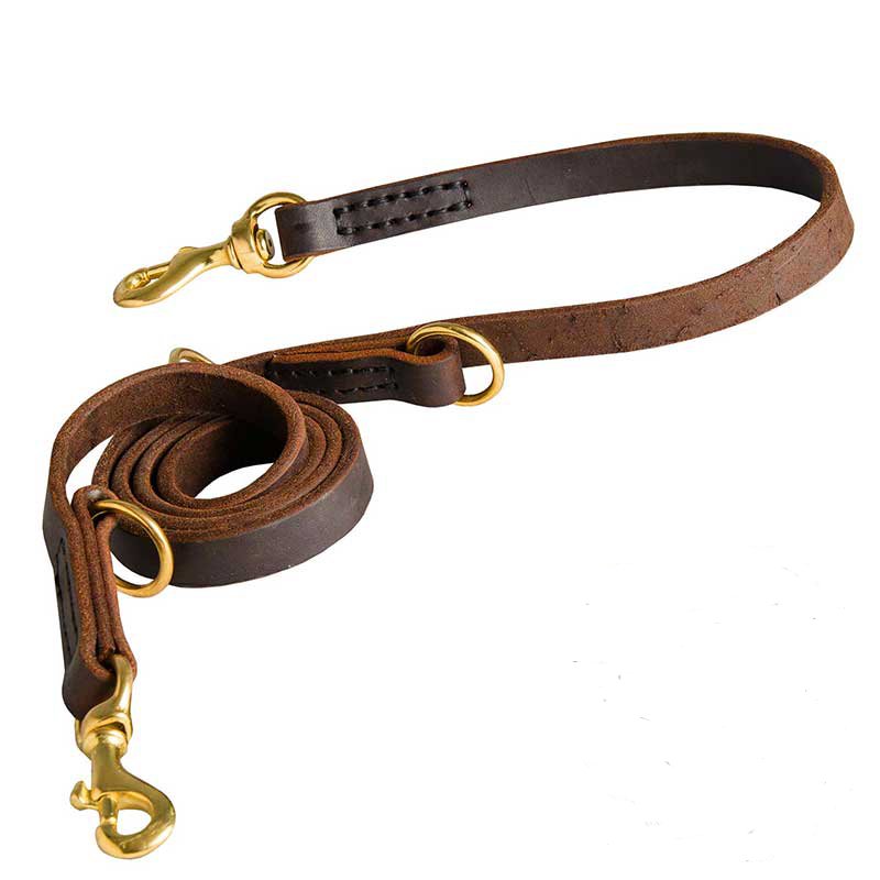 6ft Leash for Dogs Training and Walking – Saddle-Grade Leather Leash for Small Large Dogs – Durable Leash with Solid Brass Clasp Leather Dog Leash Medium 