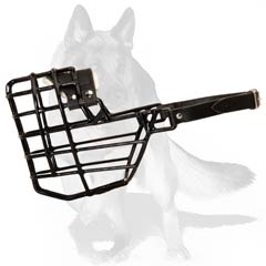 Dog Muzzle for Winter Walks