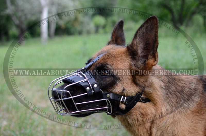 Lightweight Wire Basket Dog Muzzle for German Shepherd [M41070 Wire
