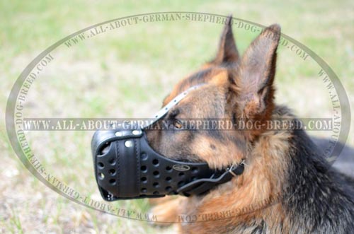 Good Ventilated Durable Muzzle for German Shepherd