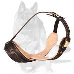 Great Muzzle for work and play