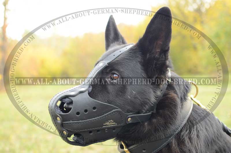 Heavy duty police muzzle [M561070 Police strong leather muzzle