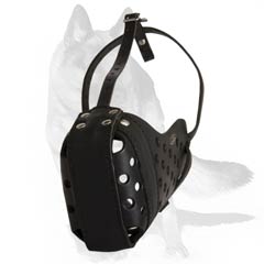  Everyday muzzle with nose padding