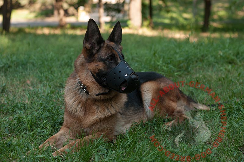 Super Comfy Muzzle for German Shepherd [M511070 Comfy Leather Muzzle