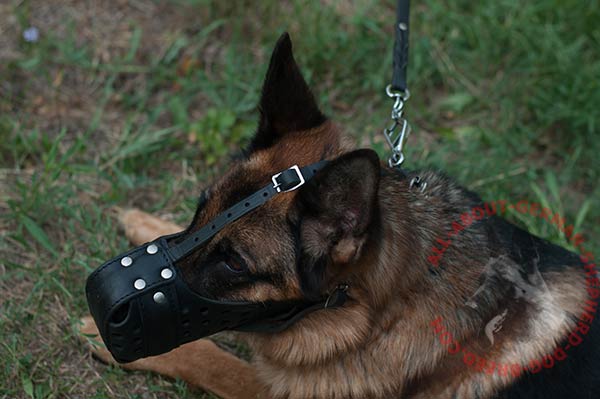 Free-breathing leather canine muzzle for German Shepherd