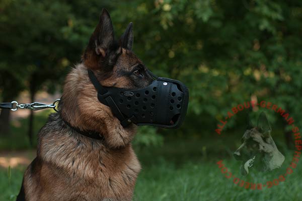 Handmade leather dog muzzle for German Shepherd