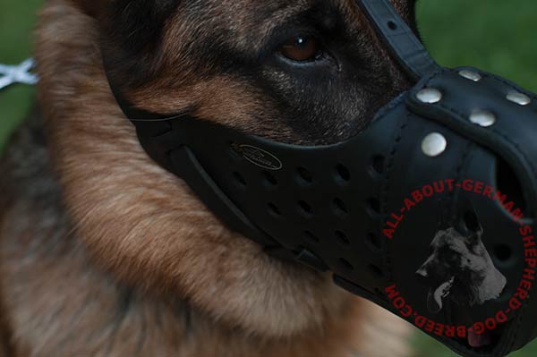 Well-ventilated leather dog muzzle for German Shepherd - close-up