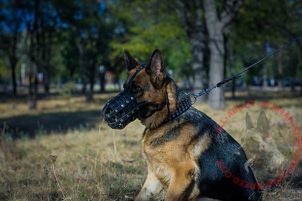 Riveted basket-like leather dog muzzle for German Shepherd