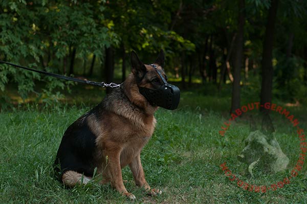 Leather dog muzzle for German Shepherd with adjustable straps
