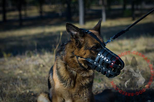 Hand stitched leather dog muzzle for German Shepherd