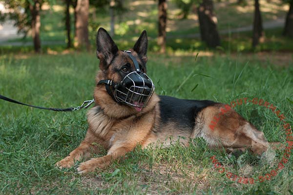 Padded metal cage German Shepherd muzzle with good air flow