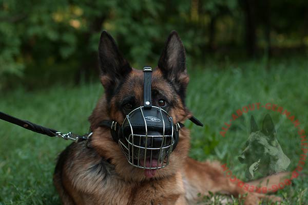 Well-ventilated metal cage German Shepherd muzzle