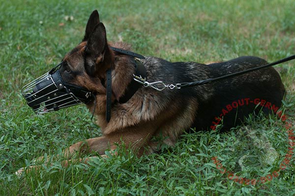 Adjustable wire basket German Shepherd muzzle