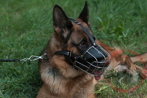 Wire cage dog muzzle for German Shepherd efficient training