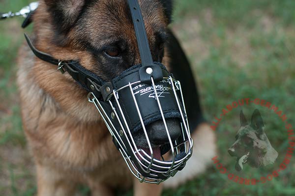 Comfortable wire dog muzzle for German Shepherd with padded leather part