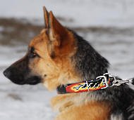 Hand painted by our artists Leather Collar for German Shepherd Dog