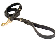 Looking for PETCO Twisted Leather Lead for German Shepherd?