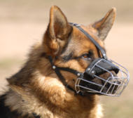 Wire Basket dog muzzle for German Shepherd/GSD